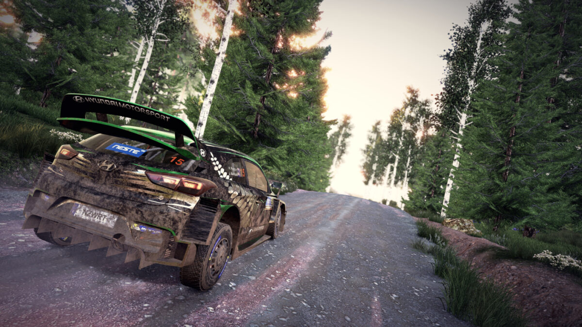 You can now access a photo mode in WRC 9