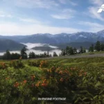 New Forza Horizon 6 Clips Showcase Japanese Scenery